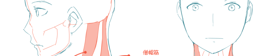 Yukijinet Illustrator クリスタで描いたラスターの線画を速攻でベクターに変換する方法